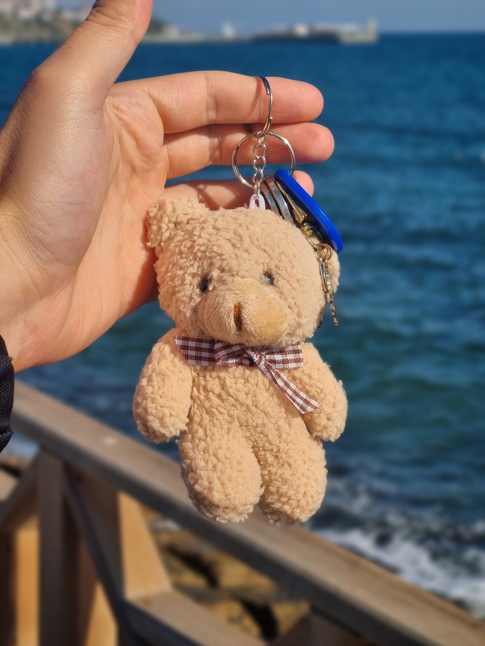 Peluş Kurdeleli Ayıcık