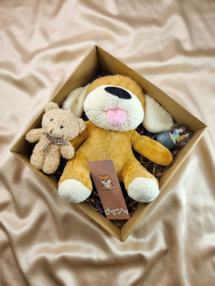 Peluş Köpek ve Ayıcık Anahtarlık Hediyelik Kutu Seti